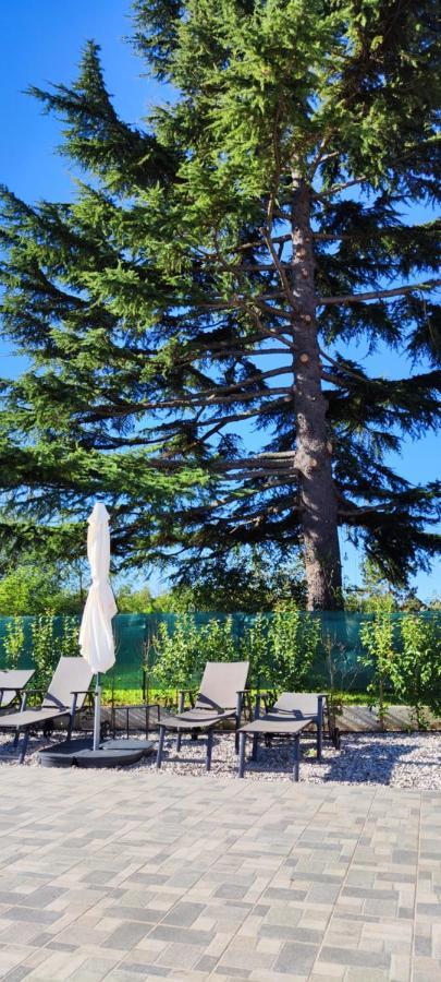 Villa Allegra Vižinada Esterno foto
